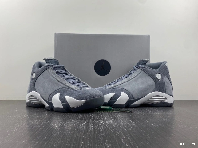 Rep MAX Jordan Grey Air 14 FJ3460-012 Flint 0812
